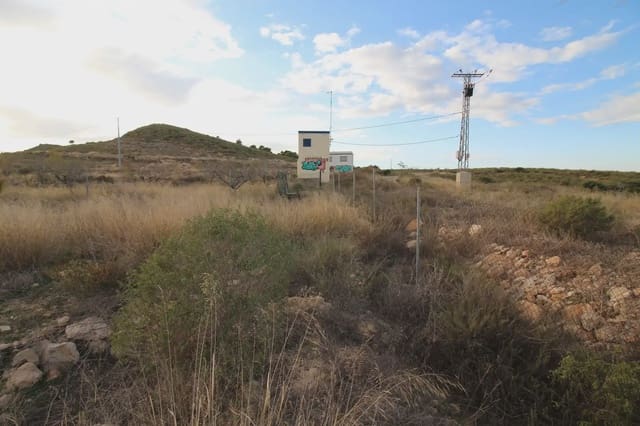 Mark till salu i Perin, Cartagena - 45 000 € (Ref: 10009401)