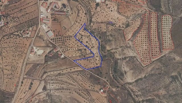 Undeveloped Land for sale in Las Palas, Fuente Alamo de Murcia - € 18,000 (Ref: 10009402)