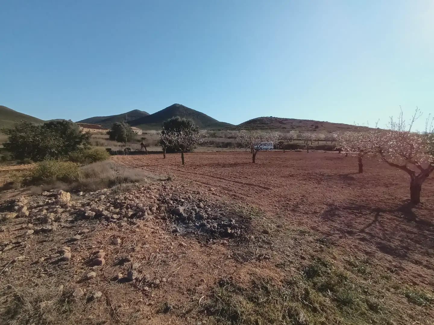 Undeveloped Land for sale in Las Palas - € 18,000 (Ref: 10009402)