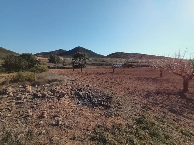 Undeveloped Land for sale in Las Palas, Fuente Alamo de Murcia - € 18,000 (Ref: 10009402)