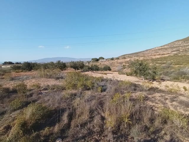 Undeveloped Land for sale in Las Palas, Fuente Alamo de Murcia - € 18,000 (Ref: 10009402)