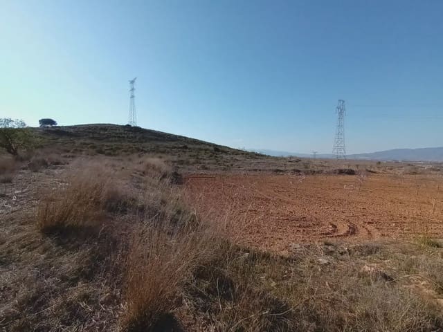 Undeveloped Land for sale in Las Palas, Fuente Alamo de Murcia - € 79,000 (Ref: 10009403)