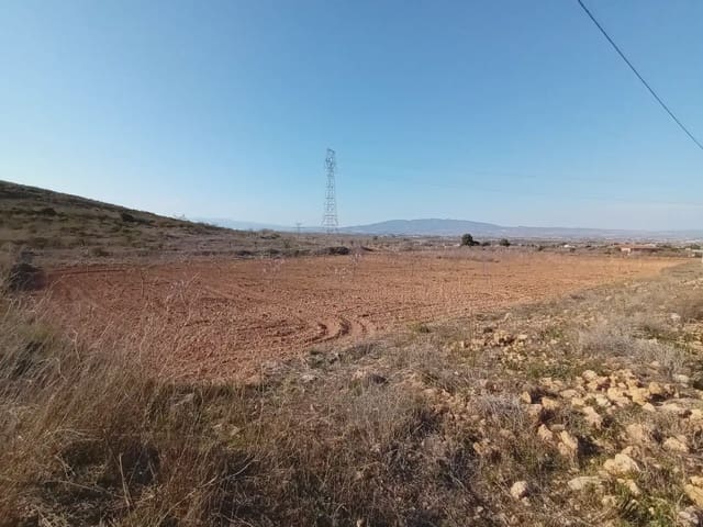 Undeveloped Land for sale in Las Palas, Fuente Alamo de Murcia - € 79,000 (Ref: 10009403)