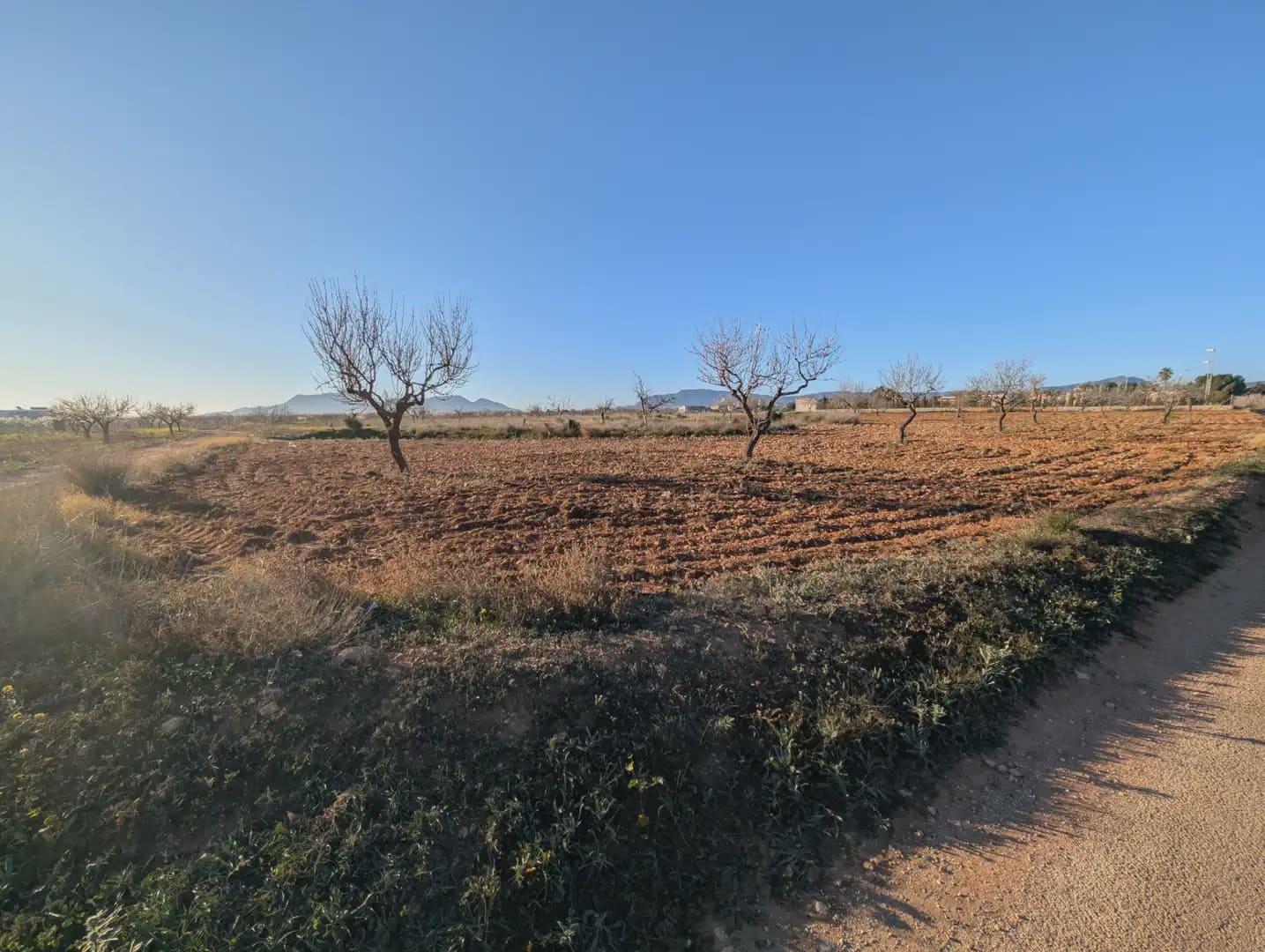 Mark till salu i Cartagena - 29 000 € (Ref: 10009405)