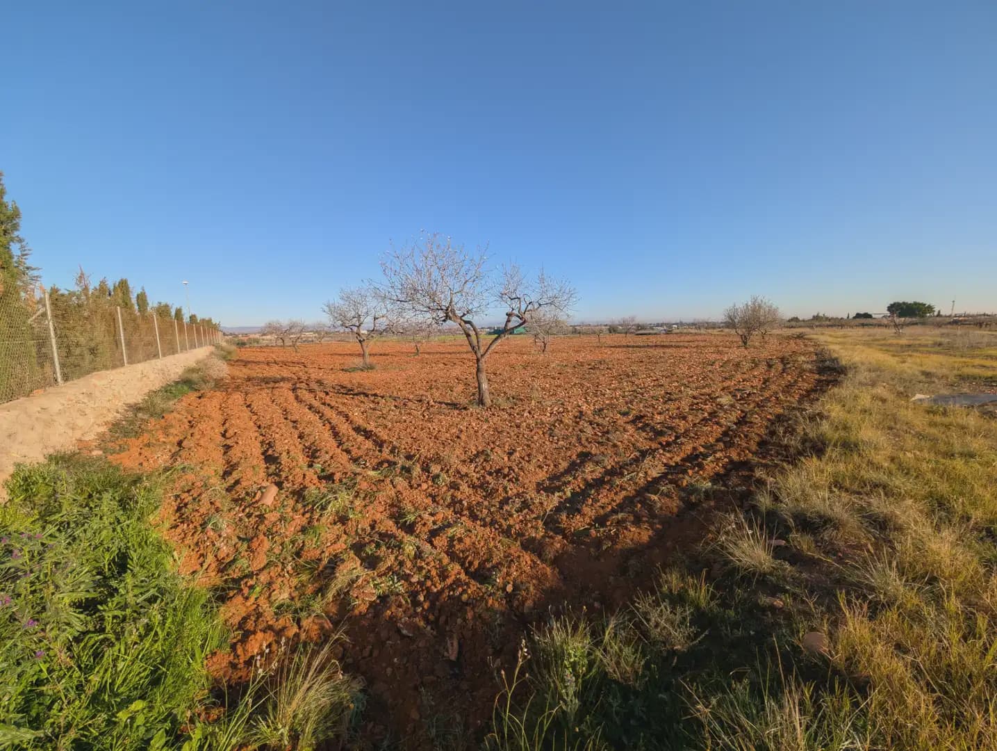 Mark till salu i Cartagena - 29 000 € (Ref: 10009405)