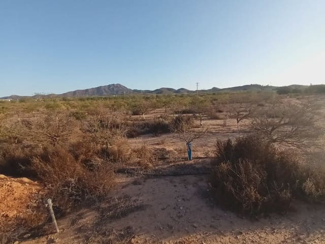 Mark till salu i Cuevas de Reyllo, Fuente Alamo de Murcia - 62 546 € (Ref: 10009408)