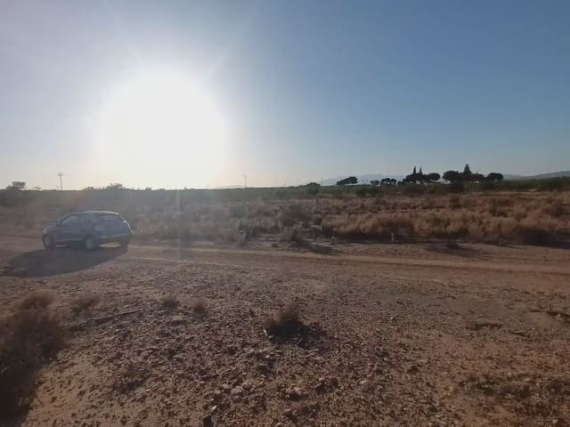 Mark till salu i Cuevas de Reyllo, Fuente Alamo de Murcia - 62 546 € (Ref: 10009408)