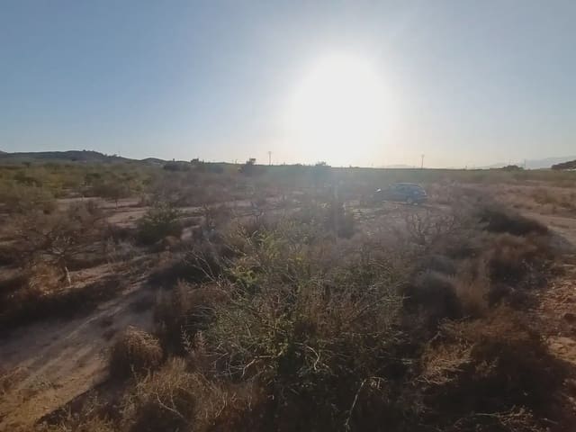 Mark till salu i Cuevas de Reyllo, Fuente Alamo de Murcia - 62 546 € (Ref: 10009408)