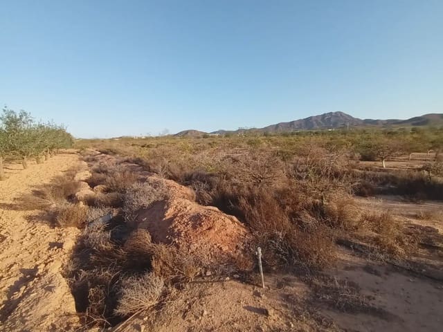 Mark till salu i Cuevas de Reyllo, Fuente Alamo de Murcia - 62 546 € (Ref: 10009408)