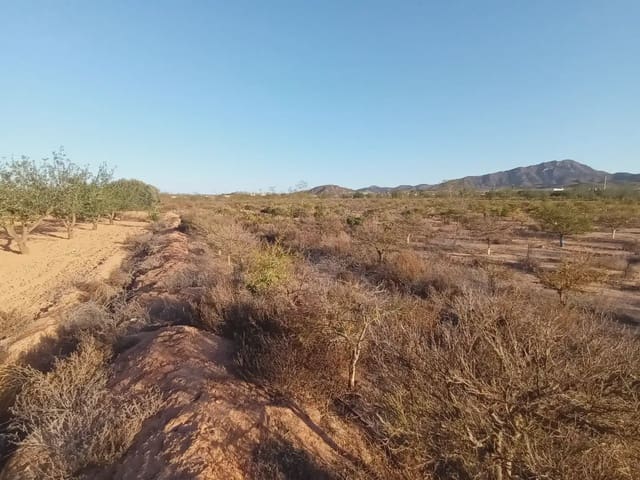 Mark till salu i Cuevas de Reyllo, Fuente Alamo de Murcia - 62 546 € (Ref: 10009408)
