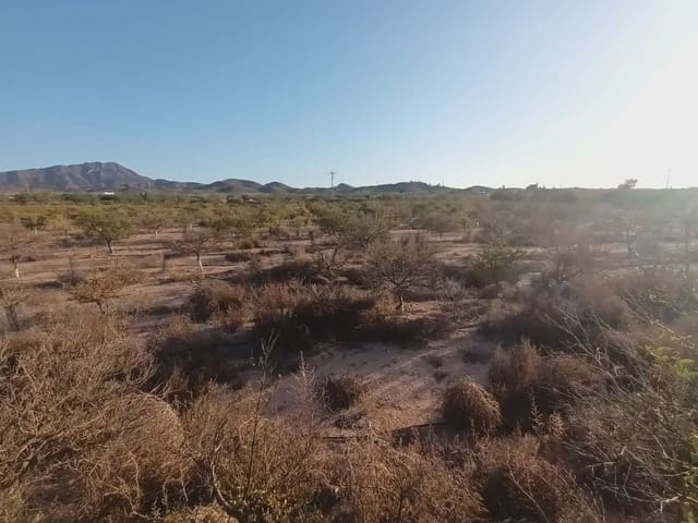 Mark till salu i Cuevas de Reyllo, Fuente Alamo de Murcia - 62 546 € (Ref: 10009408)