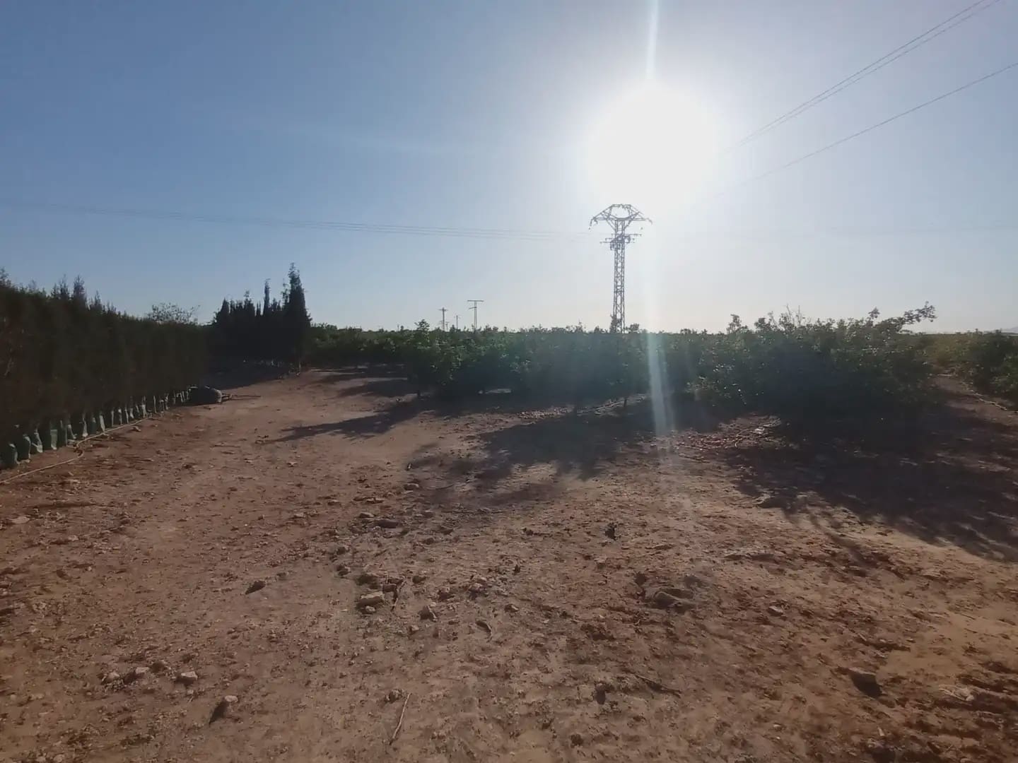 Mark till salu i La Pinilla - 70 622 € (Ref: 10009409)
