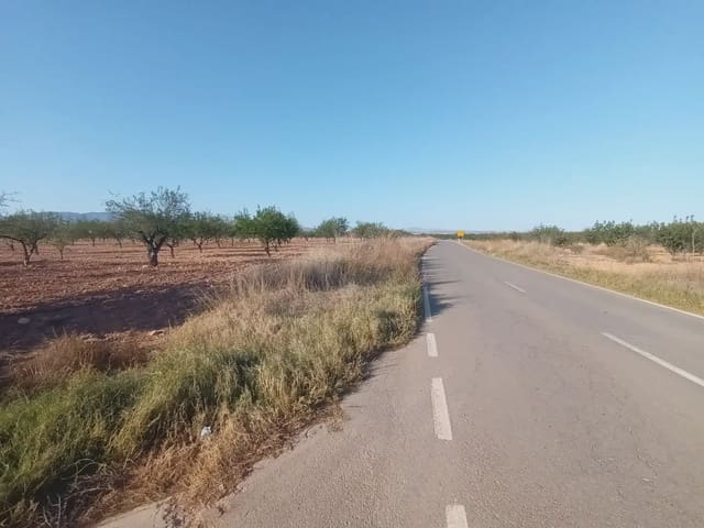 Undeveloped Land for sale in La Pinilla, Fuente Alamo de Murcia - € 70,622 (Ref: 10009409)
