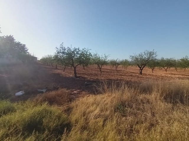 Undeveloped Land for sale in La Pinilla, Fuente Alamo de Murcia - € 70,622 (Ref: 10009409)