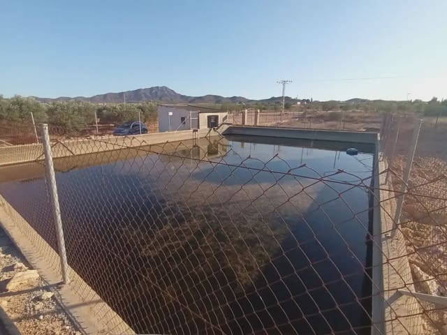 Undeveloped Land for sale in La Pinilla, Fuente Alamo de Murcia - € 70,622 (Ref: 10009409)