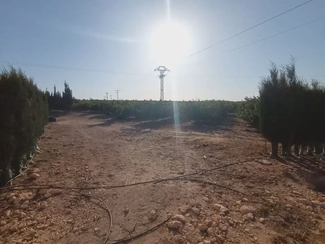 Undeveloped Land for sale in La Pinilla, Fuente Alamo de Murcia - € 70,622 (Ref: 10009409)