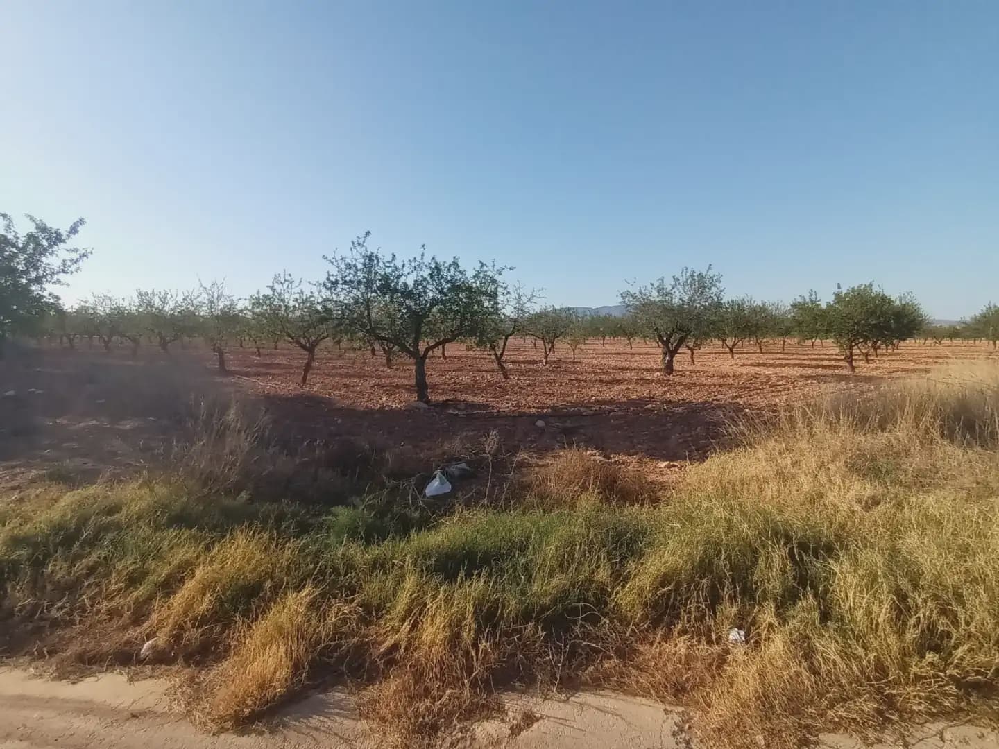 Mark till salu i La Pinilla - 70 622 € (Ref: 10009409)