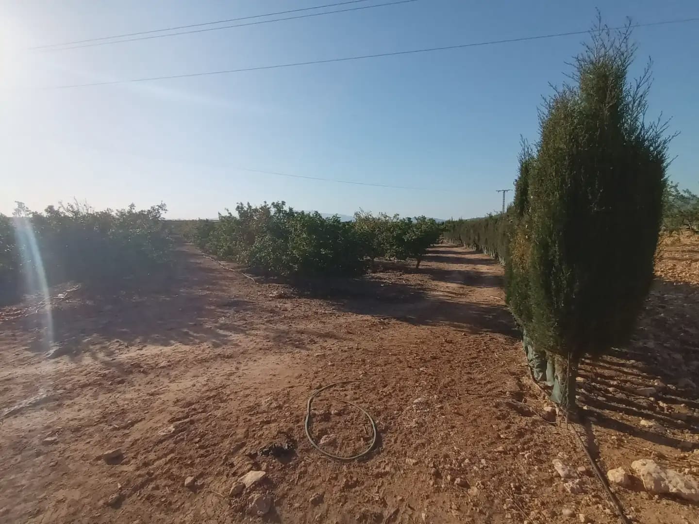 Mark till salu i La Pinilla - 70 622 € (Ref: 10009409)