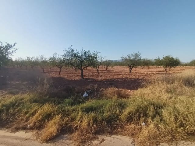 Undeveloped Land for sale in La Pinilla, Fuente Alamo de Murcia - € 70,622 (Ref: 10009409)