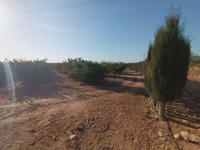 Undeveloped Land for sale in La Pinilla, Fuente Alamo de Murcia - € 70,622 (Ref: 10009409)