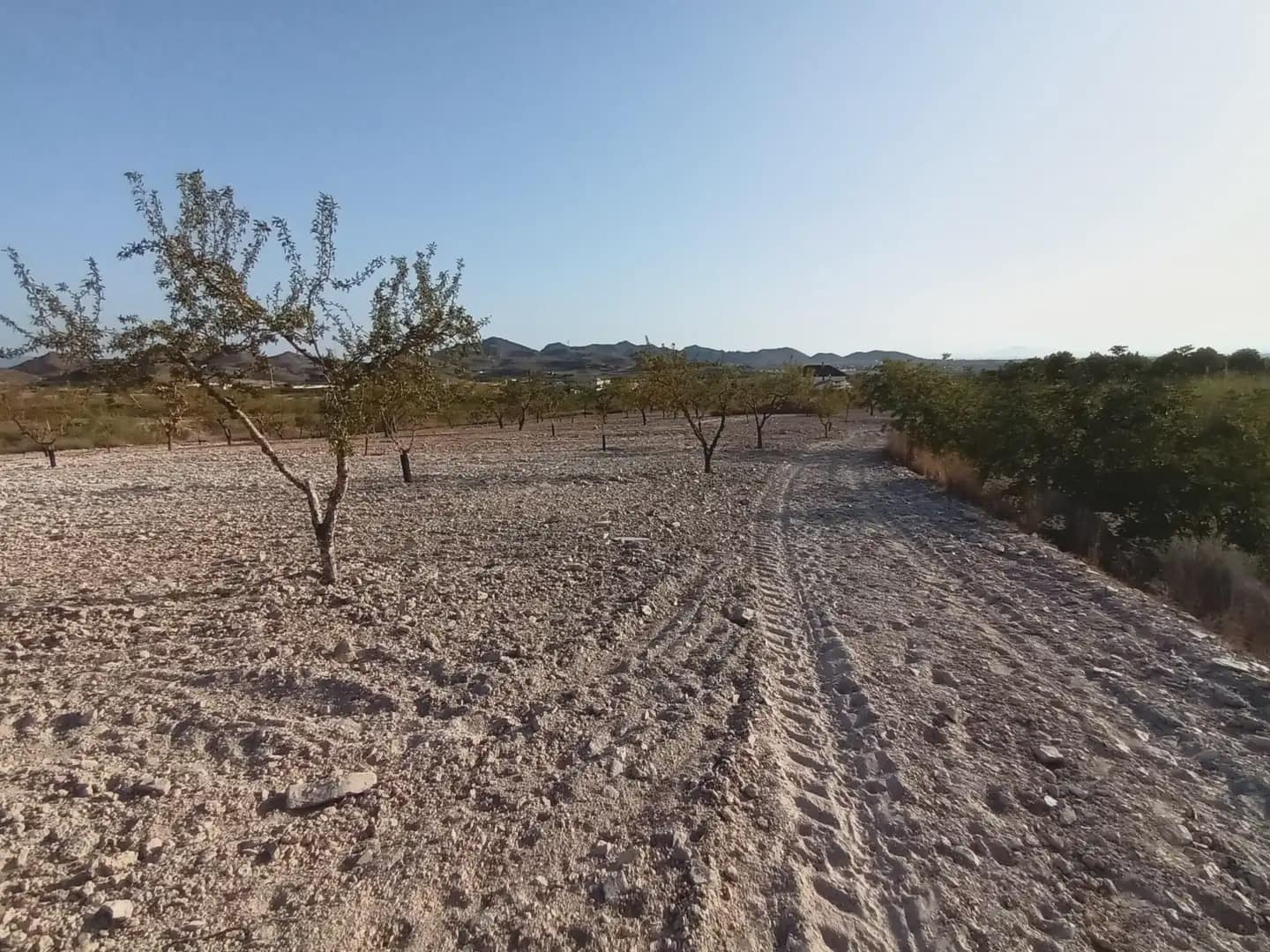 Finca/Landgut zu verkaufen in Perin - 162.000 € (Ref: 10009420)