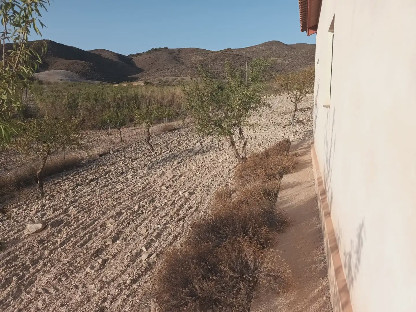 Finca/Landgut zu verkaufen in Perin - 162.000 € (Ref: 10009420)