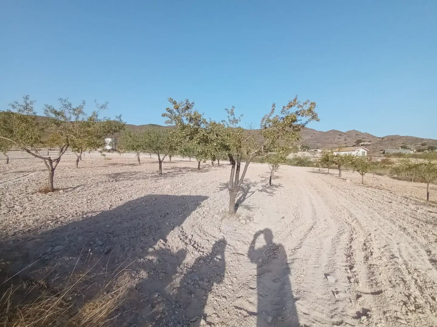 Finca/Landgut zu verkaufen in Perin - 162.000 € (Ref: 10009420)