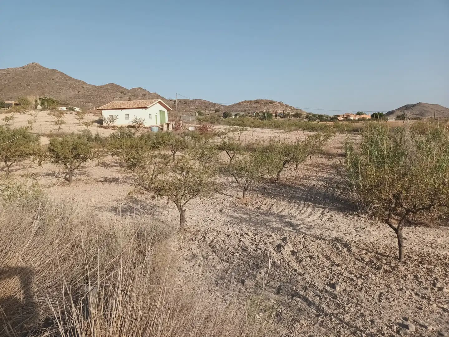 Finca/Landgut zu verkaufen in Perin - 162.000 € (Ref: 10009420)