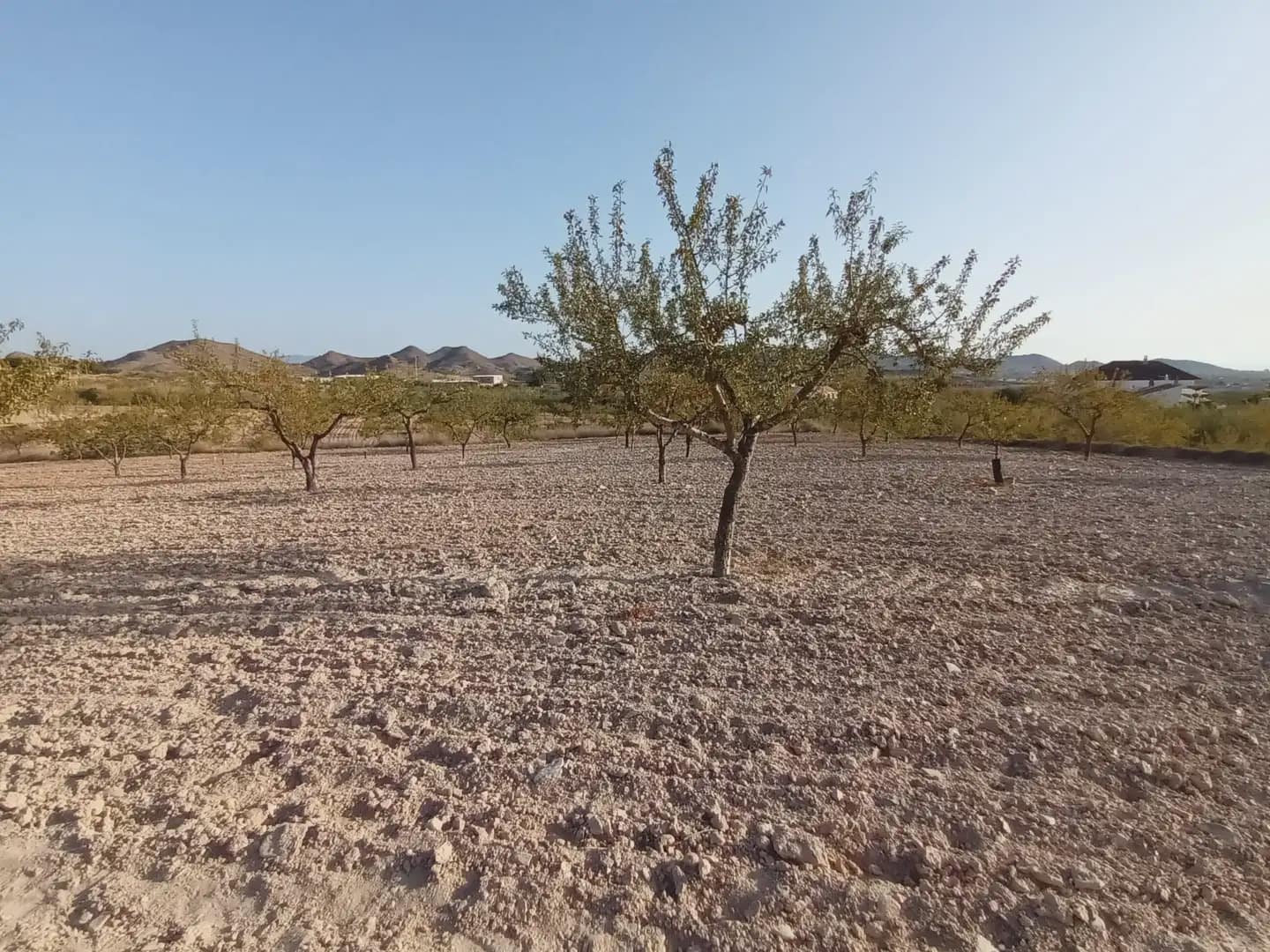 Finca/Landgut zu verkaufen in Perin - 162.000 € (Ref: 10009420)