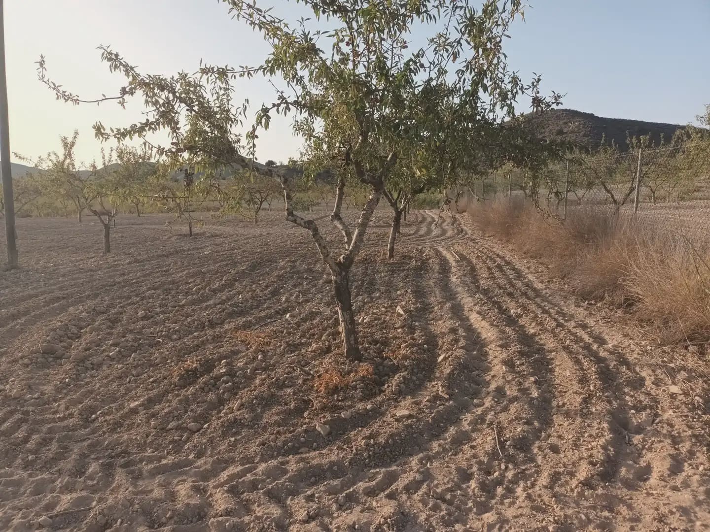 Finca/Landgut zu verkaufen in Perin - 162.000 € (Ref: 10009420)