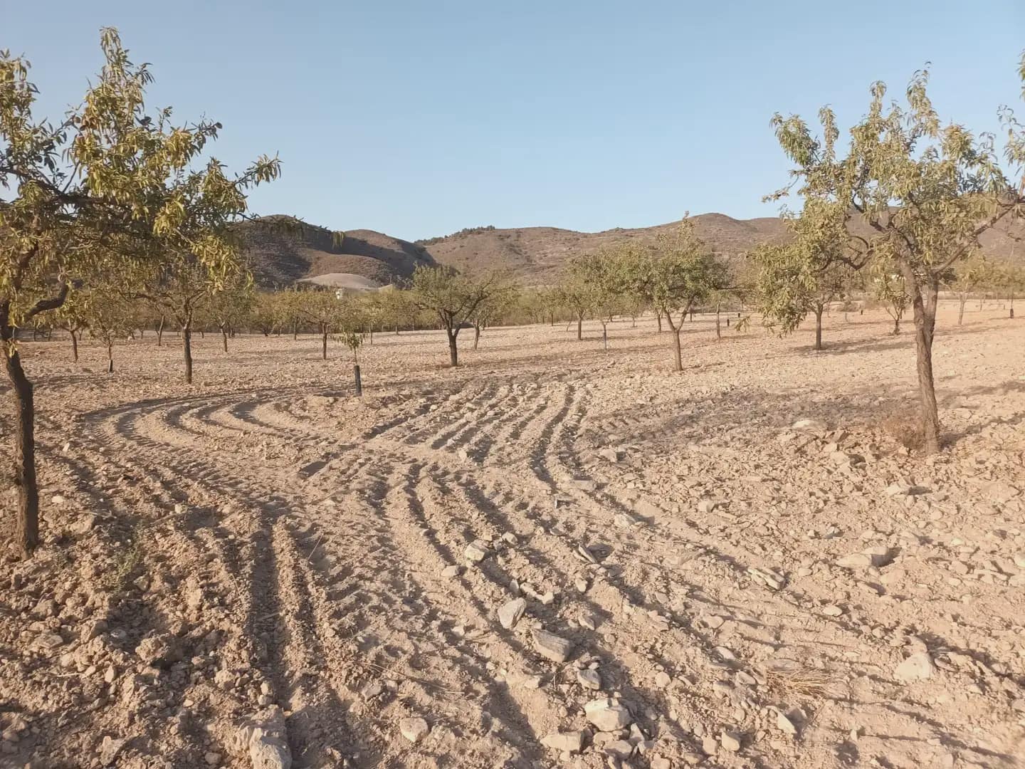 Finca/Landgut zu verkaufen in Perin - 162.000 € (Ref: 10009420)