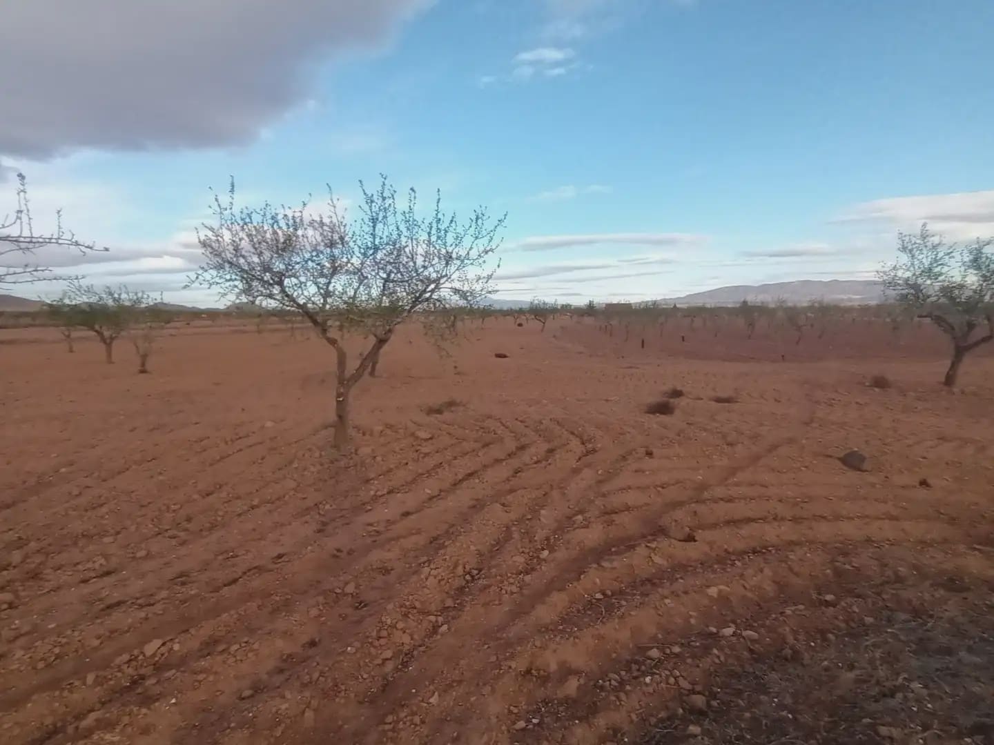 Undeveloped Land for sale in Fuente Alamo de Murcia - € 7,900 (Ref: 10009441)