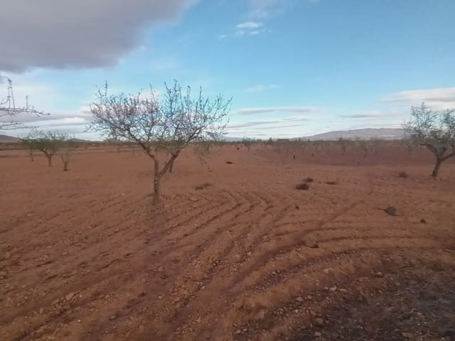Undeveloped Land for sale in Fuente Alamo de Murcia - € 7,900 (Ref: 10009441)