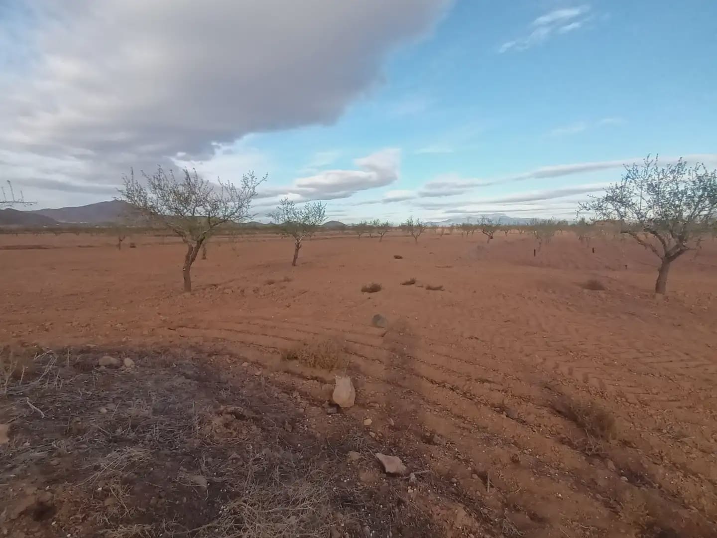 Undeveloped Land for sale in Fuente Alamo de Murcia - € 7,900 (Ref: 10009441)