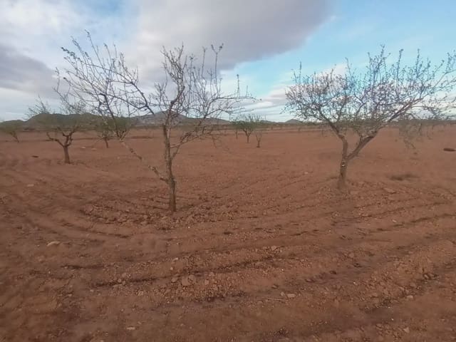 Undeveloped Land for sale in Fuente Alamo de Murcia - € 7,900 (Ref: 10009441)