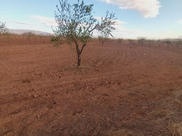 Undeveloped Land for sale in Fuente Alamo de Murcia - € 7,900 (Ref: 10009441)