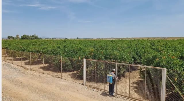 Teren niezagospodarowany na sprzedaż w La Aljorra, Kartagena - 240 000 € (Ref: 10009452)