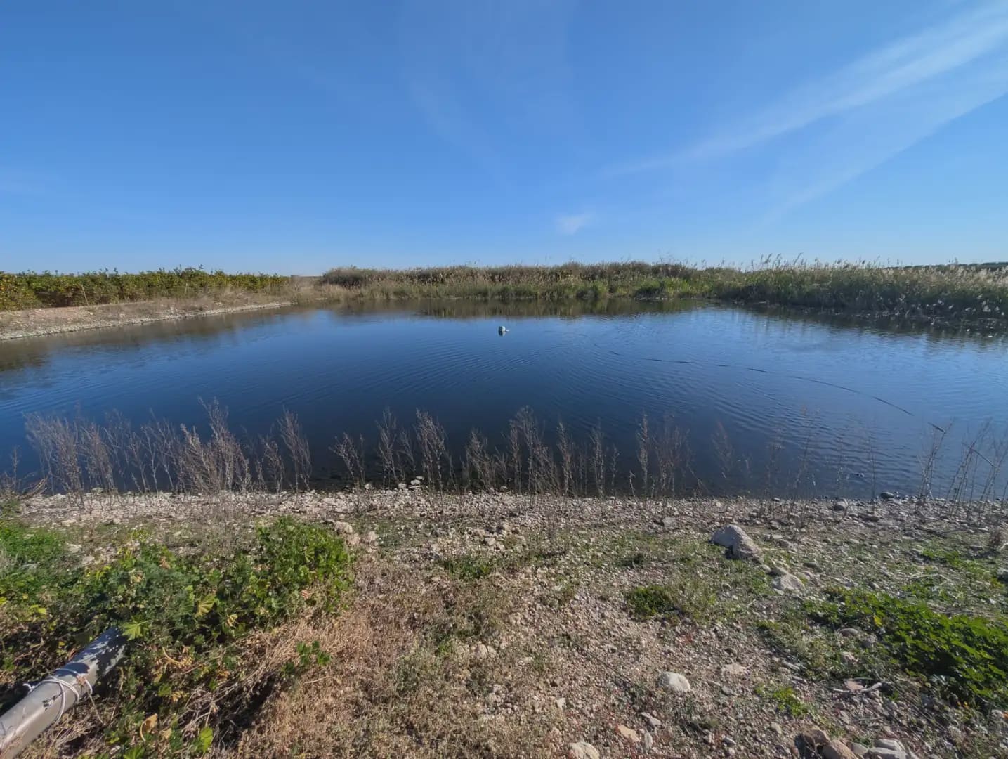 Teren niezagospodarowany na sprzedaż w La Aljorra - 240 000 € (Ref: 10009452)