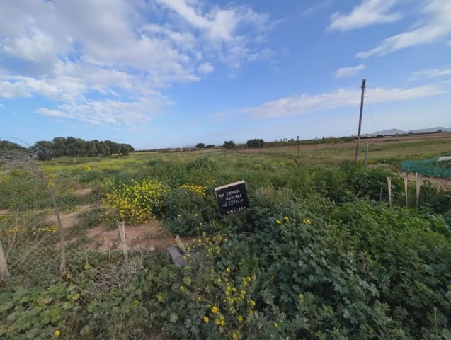 Terre non Aménagée à vendre à La Aljorra, Carthagène - 80 000 € (Ref: 10009462)