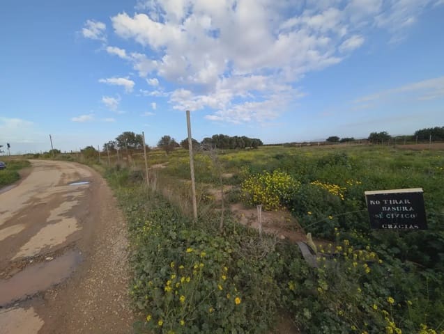 Terre non Aménagée à vendre à La Aljorra, Carthagène - 80 000 € (Ref: 10009462)