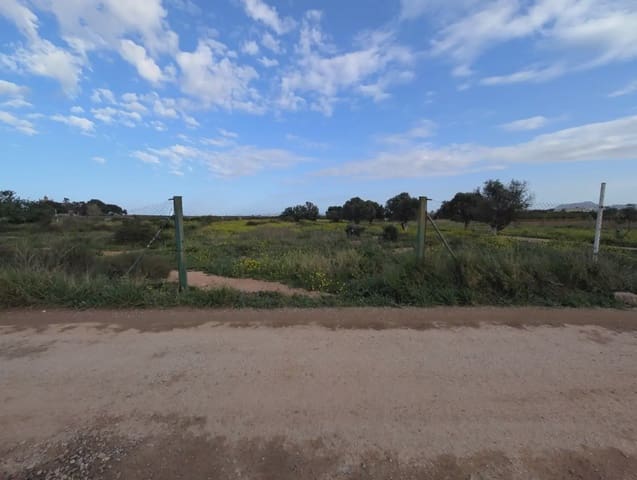 Terre non Aménagée à vendre à La Aljorra, Carthagène - 80 000 € (Ref: 10009462)