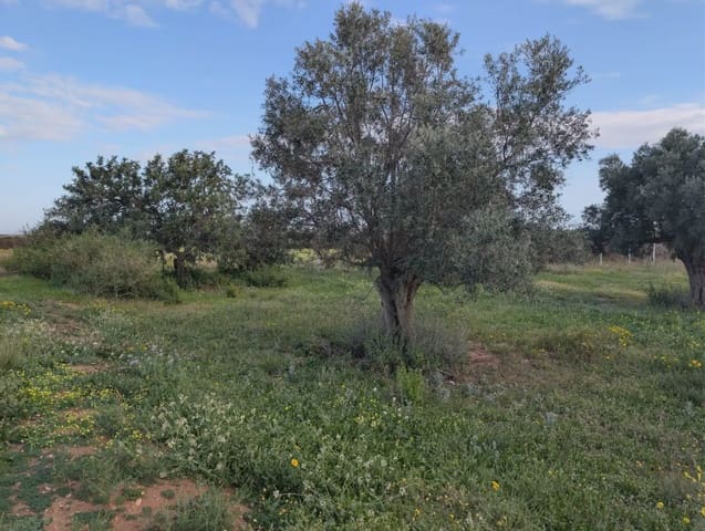 Terre non Aménagée à vendre à La Aljorra, Carthagène - 80 000 € (Ref: 10009462)