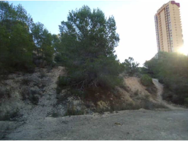 Landgrundstück zu verkaufen in Benidorm - 99.000 € (Ref: 10032294)