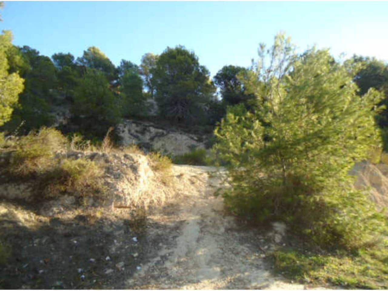 Landgrundstück zu verkaufen in Benidorm - 99.000 € (Ref: 10032294)