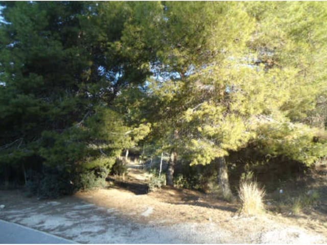 Landgrundstück zu verkaufen in Benidorm - 99.000 € (Ref: 10032294)