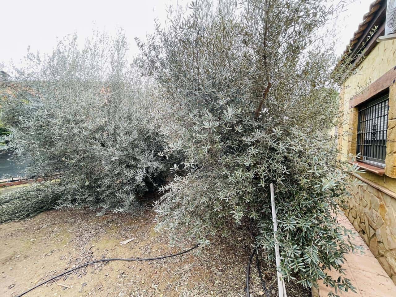 5 quarto Moradia para venda em Sangonera La Verde com piscina garagem - 419 000 € (Ref: 10032303)