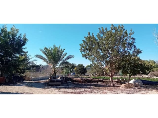 Landgrundstück zu verkaufen in Alguazas - 75.000 € (Ref: 10032304)