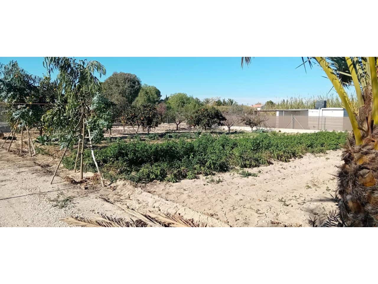 Landgrundstück zu verkaufen in Alguazas - 75.000 € (Ref: 10032304)