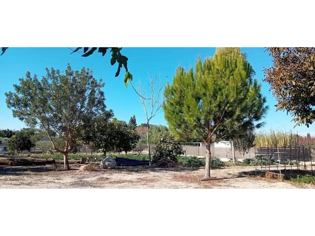 Landgrundstück zu verkaufen in Alguazas - 75.000 € (Ref: 10032304)