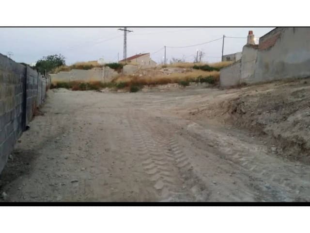 Terre non Aménagée à vendre à Molina de Segura - 57 000 € (Ref: 10032305)